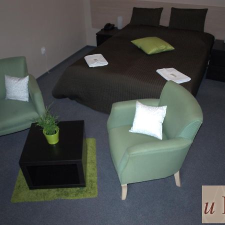 Hotel U Lva Bílina エクステリア 写真