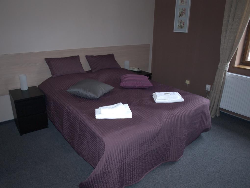 Hotel U Lva Bílina 部屋 写真