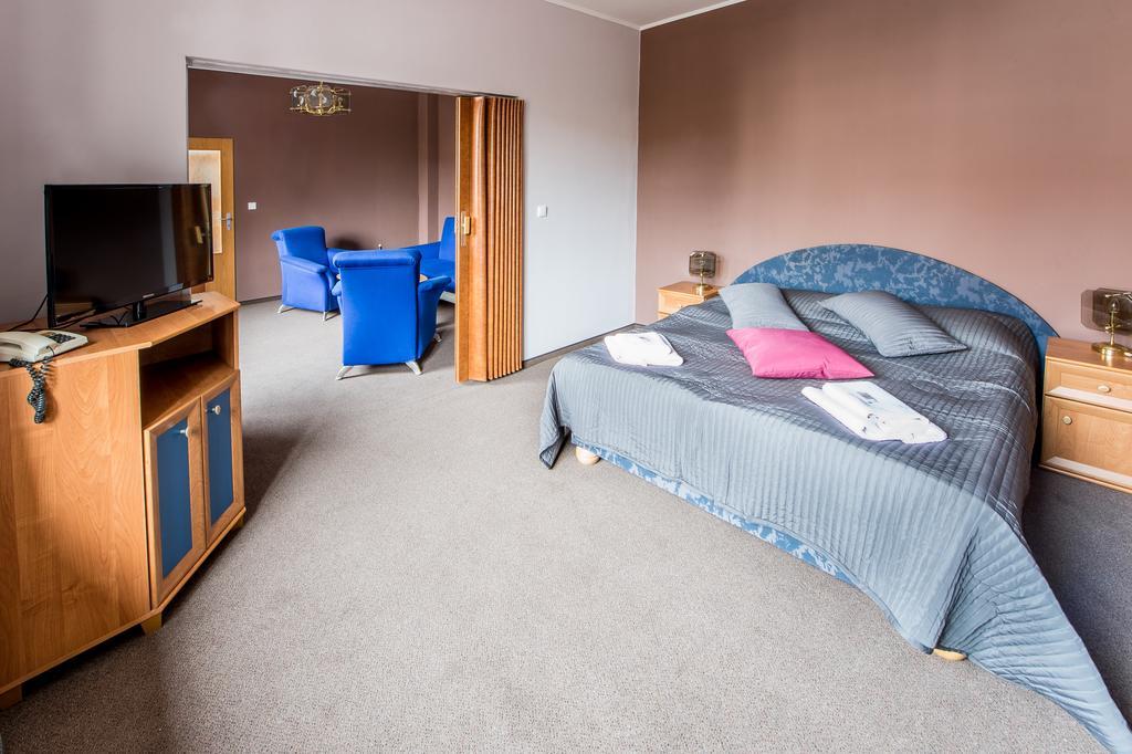 Hotel U Lva Bílina 部屋 写真